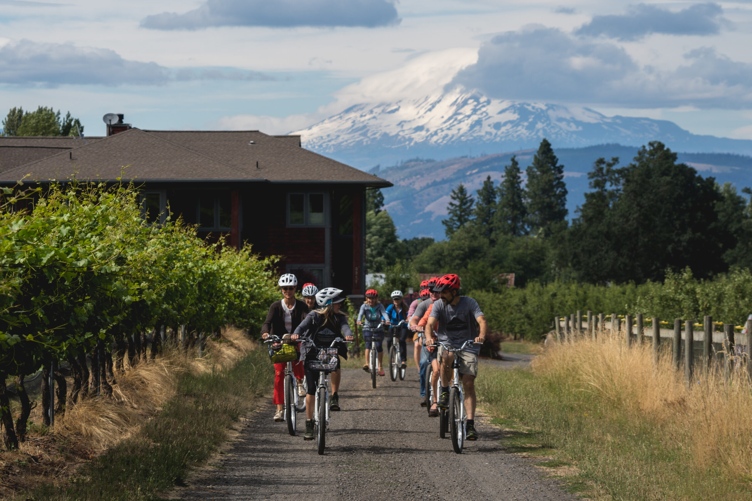 Group biking through Hood River vineyards with Mount Hood in the background