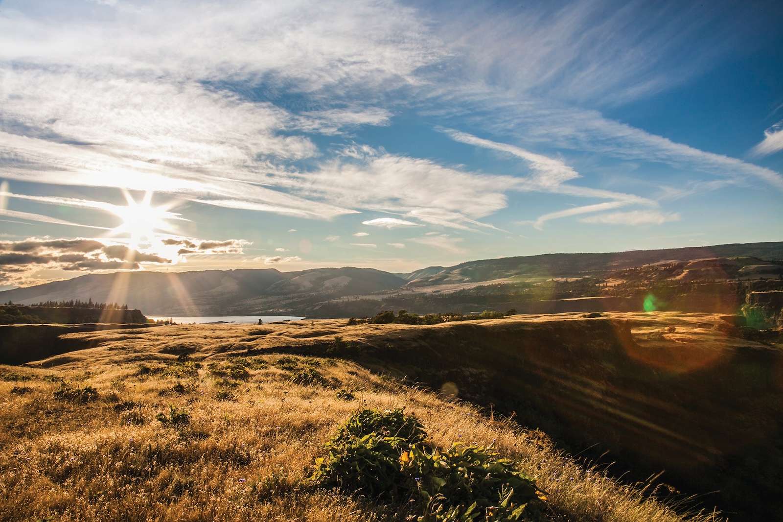 Scenic view of Columbia River Gorge at sunrise with golden fields, cliffs, and expansive skies.