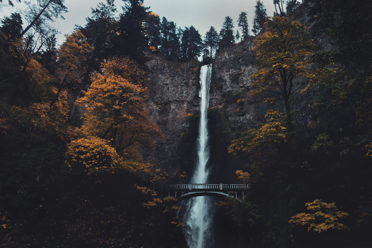 Multnomah Falls surrounded by autumn foliage in the Columbia River Gorge, Oregon.