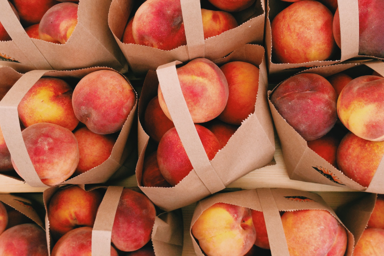 U-Pick Peaches Hood River